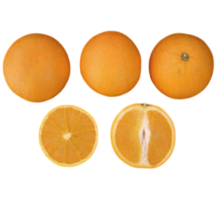 Compra NARANJO VALENCIA MIDKNIGHT - 17 en la tienda online Fito Agrícola