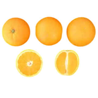 Compra NARANJO VALENCIA DELTA SEEDLESS - 17 en la tienda online Fito Agrícola