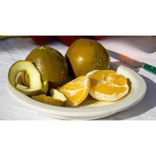 Compra NAVEL CHOCOLATE - 17 en la tienda online Fito Agrícola