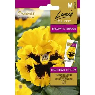 Compra PENSAMIENTO FRIZZLE SIZZLE AMARILLO F1 (25 Semillas). en la tienda online Fito Agrícola