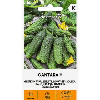 Compra PEPINILLO CANTARA F1 (0,4 gr. - Cerca de 16 Semillas). en la tienda online Fito Agrícola