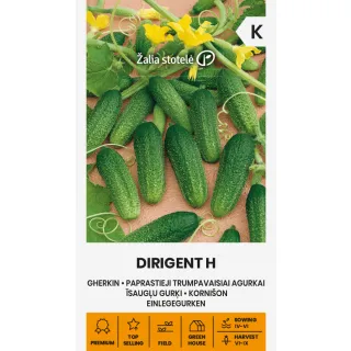 Compra PEPINILLO DIRIGENT F1 (0,5 gr. - Cerca de 20 Semillas). en la tienda online Fito Agrícola