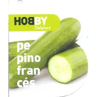 Compra PEPINO FRANCÉS ECOLÓGICO MSE6 en la tienda online Fito Agrícola