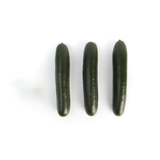 Compra PEPINO AZULAN RZ F1 Precisión (1000 Semillas). en la tienda online Fito Agrícola