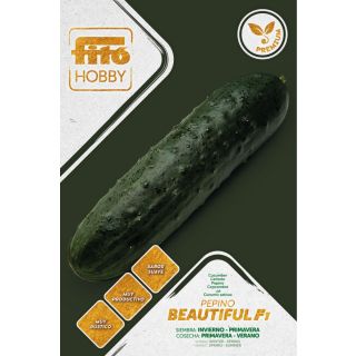 Compra PEPINO BEAUTIFUL F1 (50 Semillas) en la tienda online Fito Agrícola