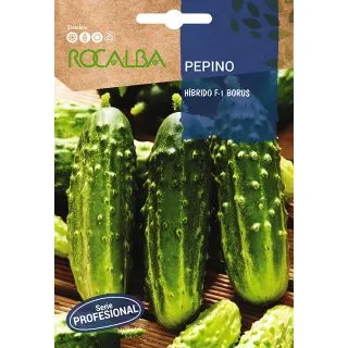 Compra PEPINO BORUS F-1 (3 gr.). en la tienda online Fito Agrícola