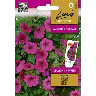 Compra PETUNIA DIAMOND PURPLE F1 (7 Semillas). en la tienda online Fito Agrícola