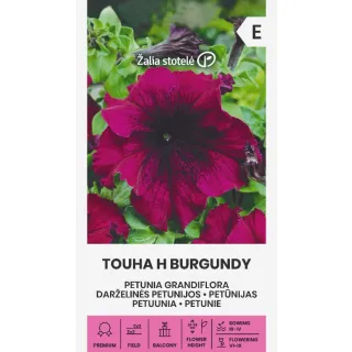 Compra PETUNIA GRANDIFLORA TOUHA BURGUNDY F1 (20 Semillas). en la tienda online Fito Agrícola