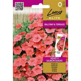 Compra PETUNIA VELVET SALMON SHADES F1 (7 Semillas) en la tienda online Fito Agrícola