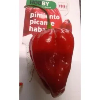 Compra PIMIENTO PICANTE HABANERO M11 en la tienda online Fito Agrícola