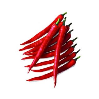 Compra PIMIENTO CENTI ODORANT F1 Sin Tratar (1.000 Semillas) en la tienda online Fito Agrícola