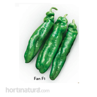 Compra PIMIENTO FAN F-1 (1.000 Semillas) en la tienda online Fito Agrícola