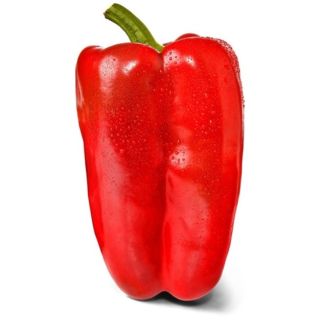 Compra PIMIENTO LOBEZNO F1 (1000 Semillas) en la tienda online Fito Agrícola