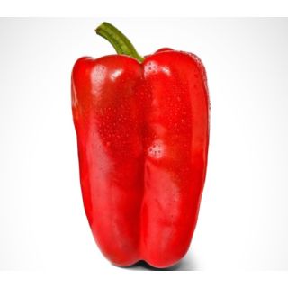 Compra PIMIENTO LOBON F1 (1000 Semillas) en la tienda online Fito Agrícola