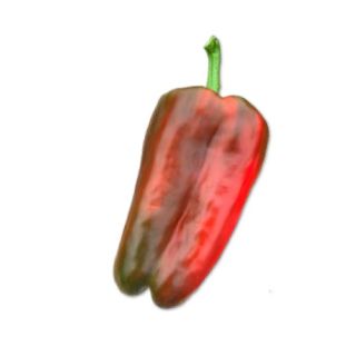 Compra PIMIENTO MERINO F1 (1.000 Semillas) en la tienda online Fito Agrícola