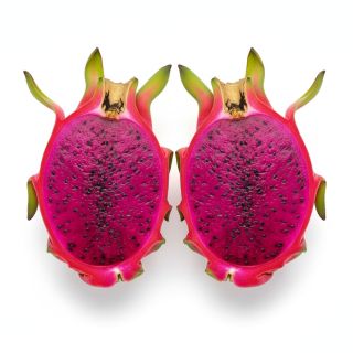 Compra PITAHAYA AMERICAN BEAUTY en la tienda online Fito Agrícola