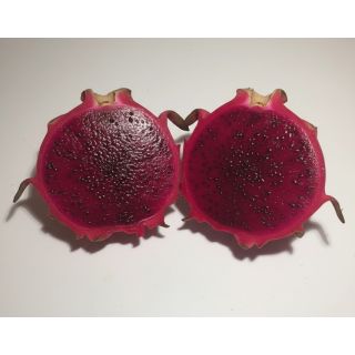 Compra PITAHAYA PURPUSII en la tienda online Fito Agrícola