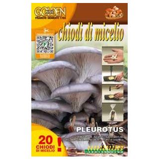 Compra PLEUROTUS OSTREATUS (20 Tacos). en la tienda online Fito Agrícola