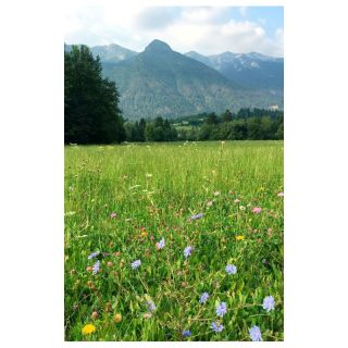 Compra ATLANTICA MIXTA (100 gr.). en la tienda online Fito Agrícola