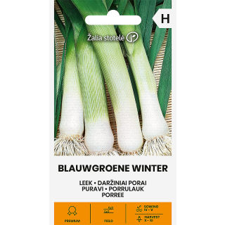 Compra PUERRO BLAUWGROENE DE INVIERNO (0,5 gr. - Cerca de 150 Semillas). en la tienda online Fito Agrícola