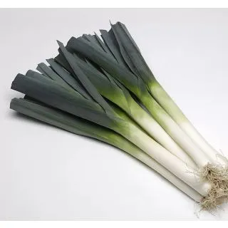 Compra PUERRO KRYPTON F1 Pildorado (25.000 Semillas) en la tienda online Fito Agrícola