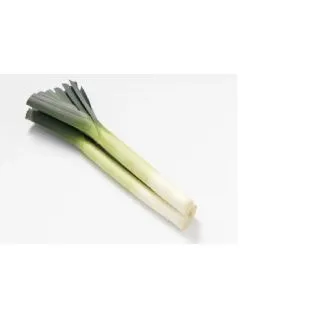 Compra PUERRO LEXTON F1 Precision (25.000 Semillas) en la tienda online Fito Agrícola