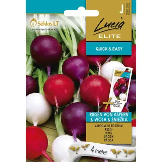 Compra RABANITO RIESEN VON ASPERN, VIOLA, SNIEŽKA EN CINTA SEMBRADORA (4 Metros). en la tienda online Fito Agrícola