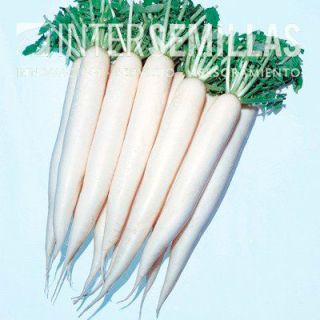 Compra RABANITO APRIL CROSS F1 (500 gr.). en la tienda online Fito Agrícola