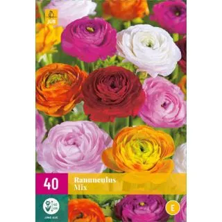 Compra RANÚNCULOS MEZCLA XXL en la tienda online Fito Agrícola