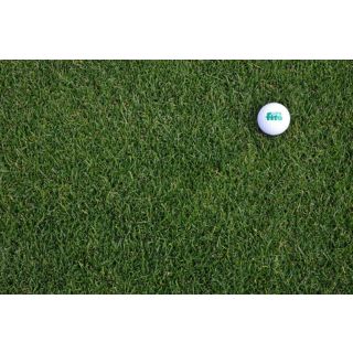 Compra RAY GRASS INGLÉS PROCESS (10 Kgr.). en la tienda online Fito Agrícola