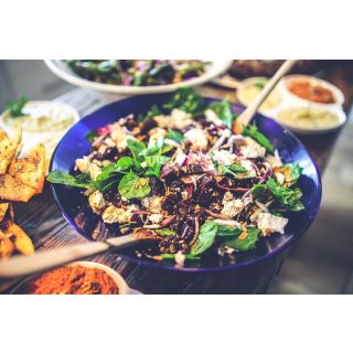 Compra REMOLACHA AMARILLA MICROGREENS (5 Kgr.). en la tienda online Fito Agrícola