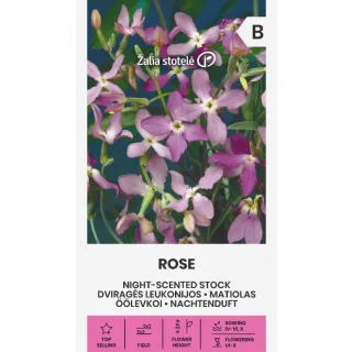 Compra ROSA ALBA CON AROMA NOCTURNO (1 gr. - Cerca de 1.200 Semillas). en la tienda online Fito Agrícola