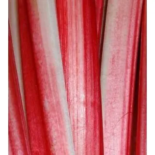 Compra RUIBARBO M11 en la tienda online Fito Agrícola