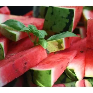 Compra SANDÍA RAYADA CON SEMILLAS (Injertada) MS4 en la tienda online Fito Agrícola