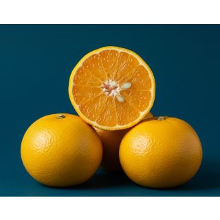 Compra MANDARINO SATSUMO OKITSU - 17 en la tienda online Fito Agrícola