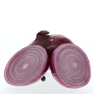 Compra CEBOLLA RED FLOYD F1 (250.000 Semillas). en la tienda online Fito Agrícola