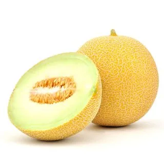 Compra MELÓN SV51BBMG F1 (1.000 Semillas). en la tienda online Fito Agrícola