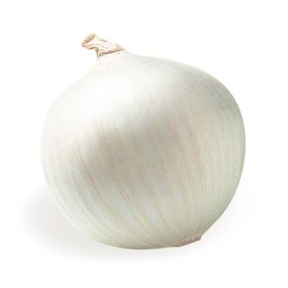 Compra CEBOLLA STERLING (100.000 Semillas). en la tienda online Fito Agrícola