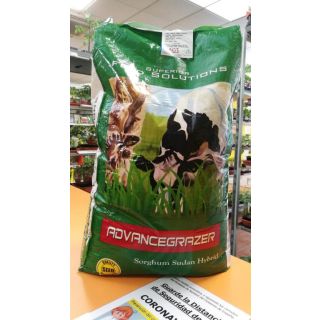 Compra SORGO ADVANCE GRAZER (25 Kgr.). en la tienda online Fito Agrícola