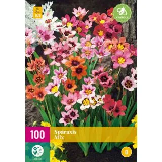 Compra SPARAXIS MIX XXL en la tienda online Fito Agrícola