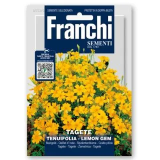 Compra TAGETE TENUIFOLIA LEMON GEM (10 gr.). en la tienda online Fito Agrícola