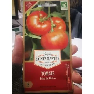 Compra TOMATE REINE DES HATIVES AB (50 Semillas). en la tienda online Fito Agrícola