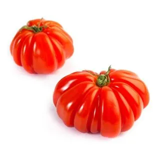 Compra TOMATE GIGANTE DE ITALIA M11 en la tienda online Fito Agrícola