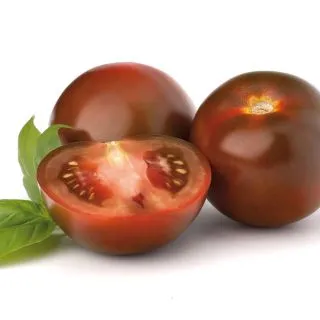 Compra TOMATE MORENO (Injertado) MS4 en la tienda online Fito Agrícola