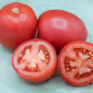 Compra TOMATE PERA ROSA F1 MS6 en la tienda online Fito Agrícola