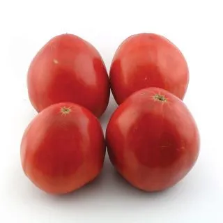 Compra TOMATE ROJO ALHAMBRA MS6 en la tienda online Fito Agrícola