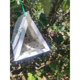 Compra ECONEX TRAMPA TRIANGULAR DESECHABLE Blanca (1 Unid.). en la tienda online Fito Agrícola