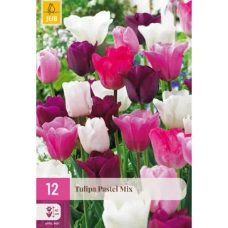 Compra TULIPÁN PASTEL MIX XXL en la tienda online Fito Agrícola