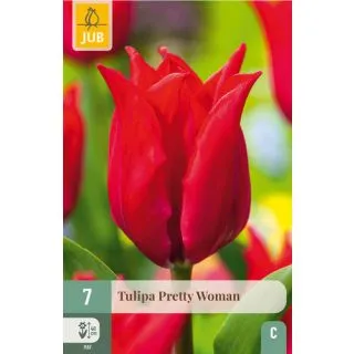 Compra TULIPÁN PRETTY WOMAN en la tienda online Fito Agrícola
