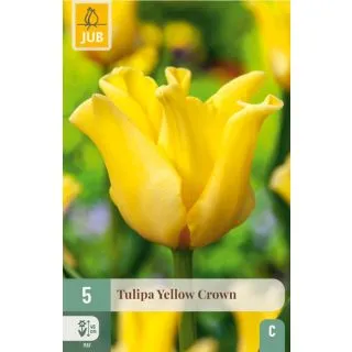Compra TULIPÁN YELLOW CROWN en la tienda online Fito Agrícola